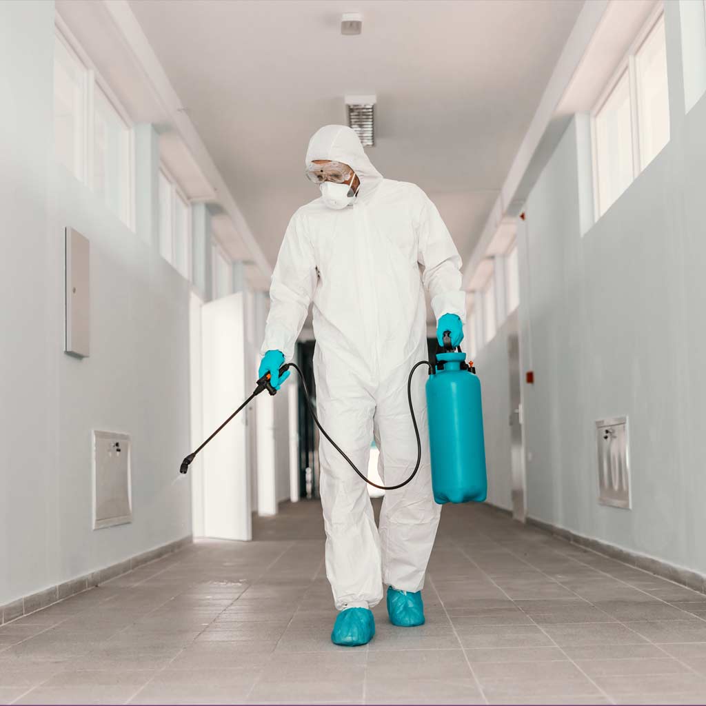 ¿Es correcto utilizar el termino de sanitizar? – SISBI